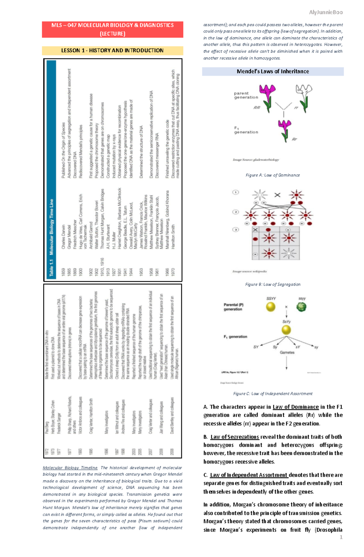 MLS-047 Molecular Biology & Diagnostics Lecture Notes: Key Concepts ...