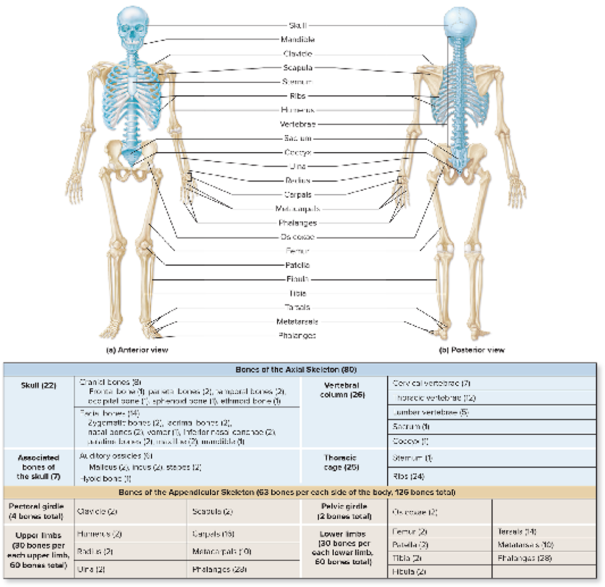 Mck65218 0801l - The following is a comprehensive list and reference ...
