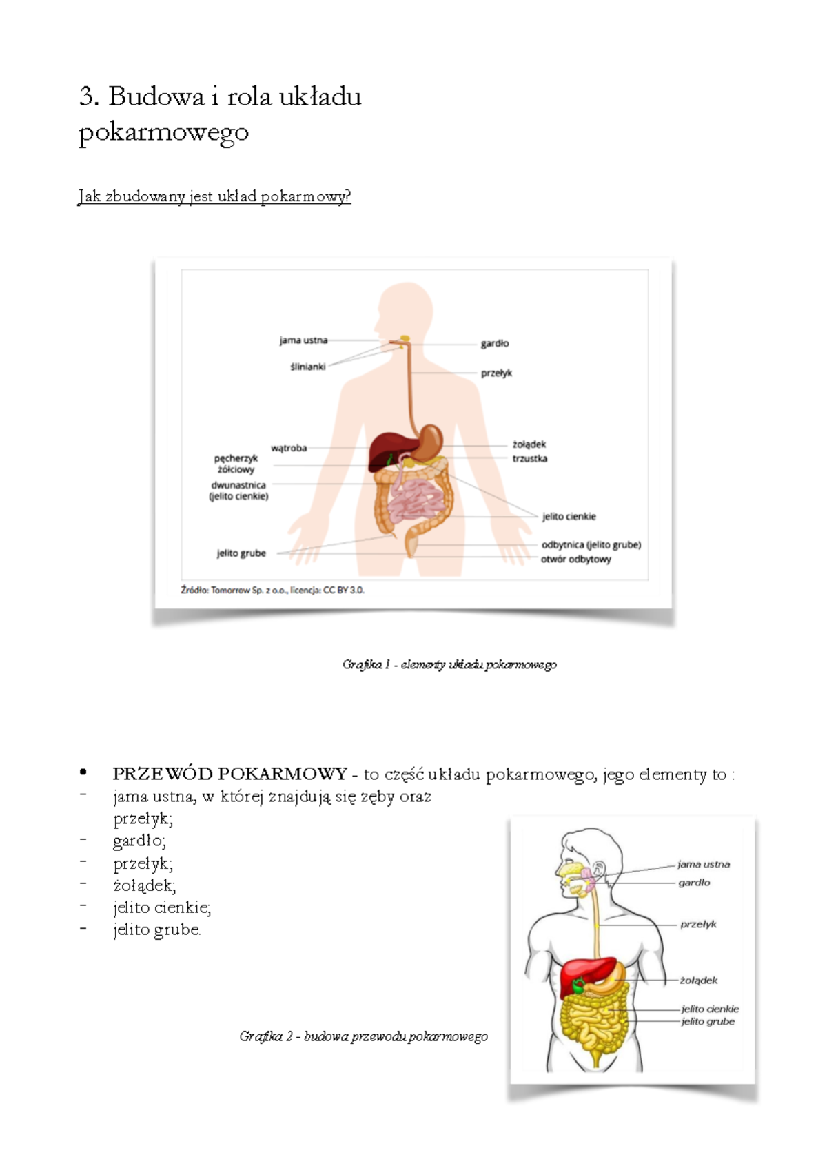 Układ Pokarmowy Sprawdzian Iv Kl 7 Forum www.studocu.com