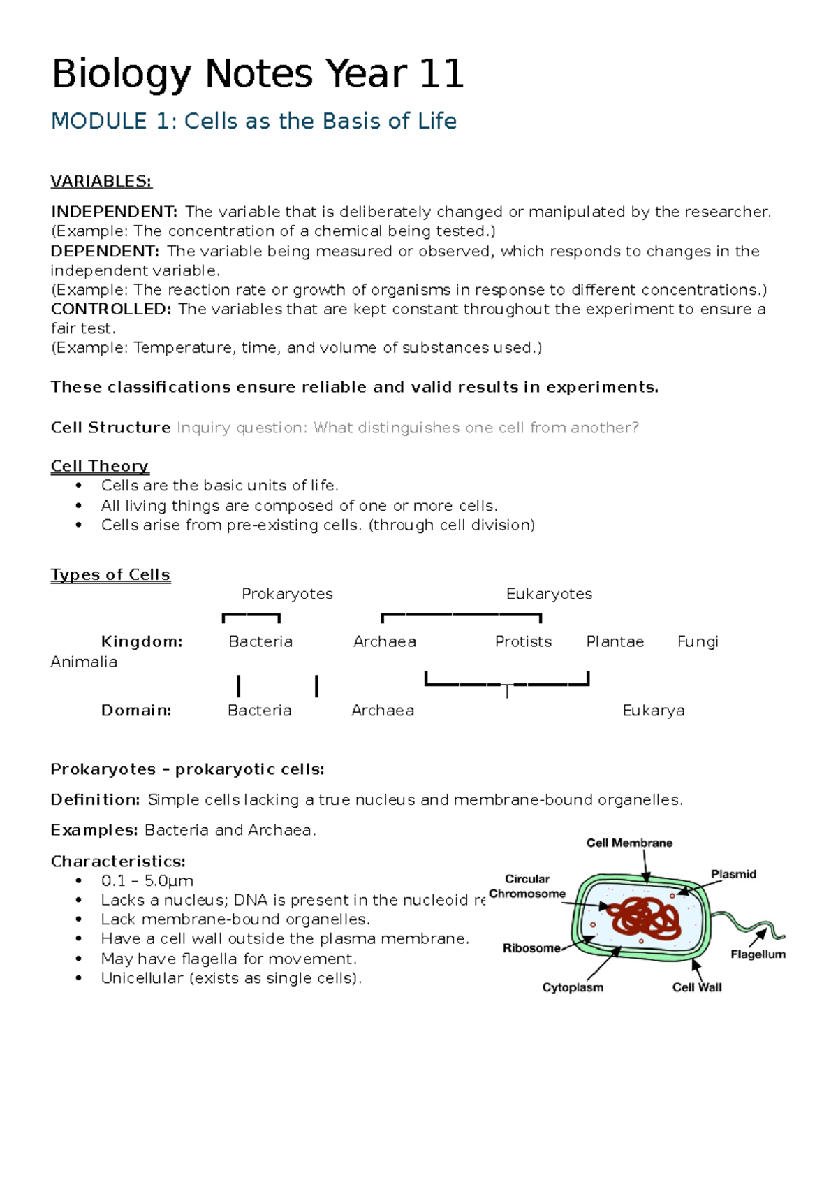 Biology Year 11 Prelim Notes: Cells and Their Functions - Studocu