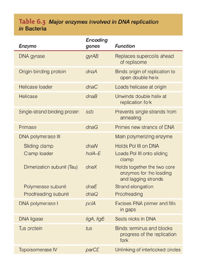BIOL 114 Cellular Biology Lab Practical 2 Review Guide – Spring 2025 ...