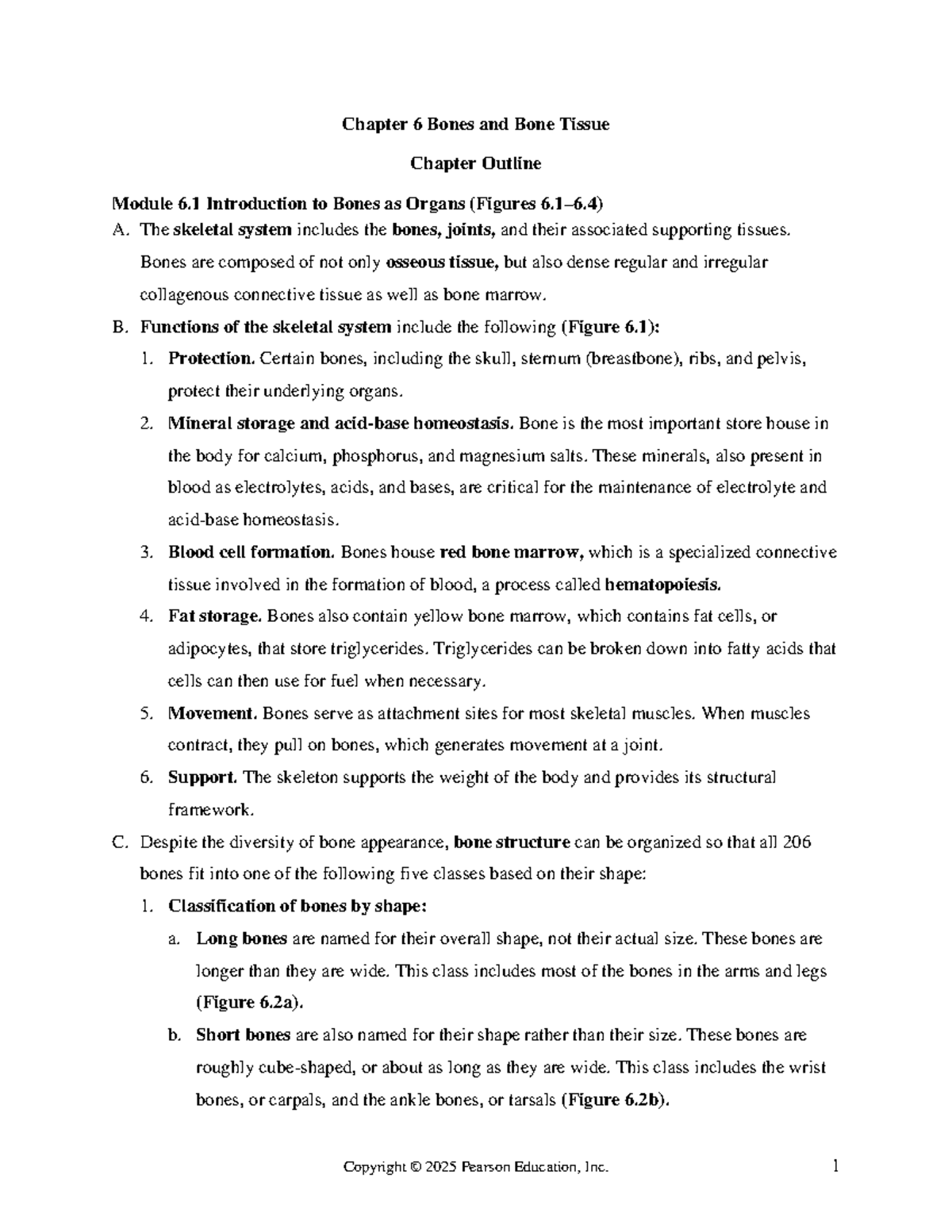 Bone Structure and Formation: A Detailed Overview (Module 6.1) - Studocu
