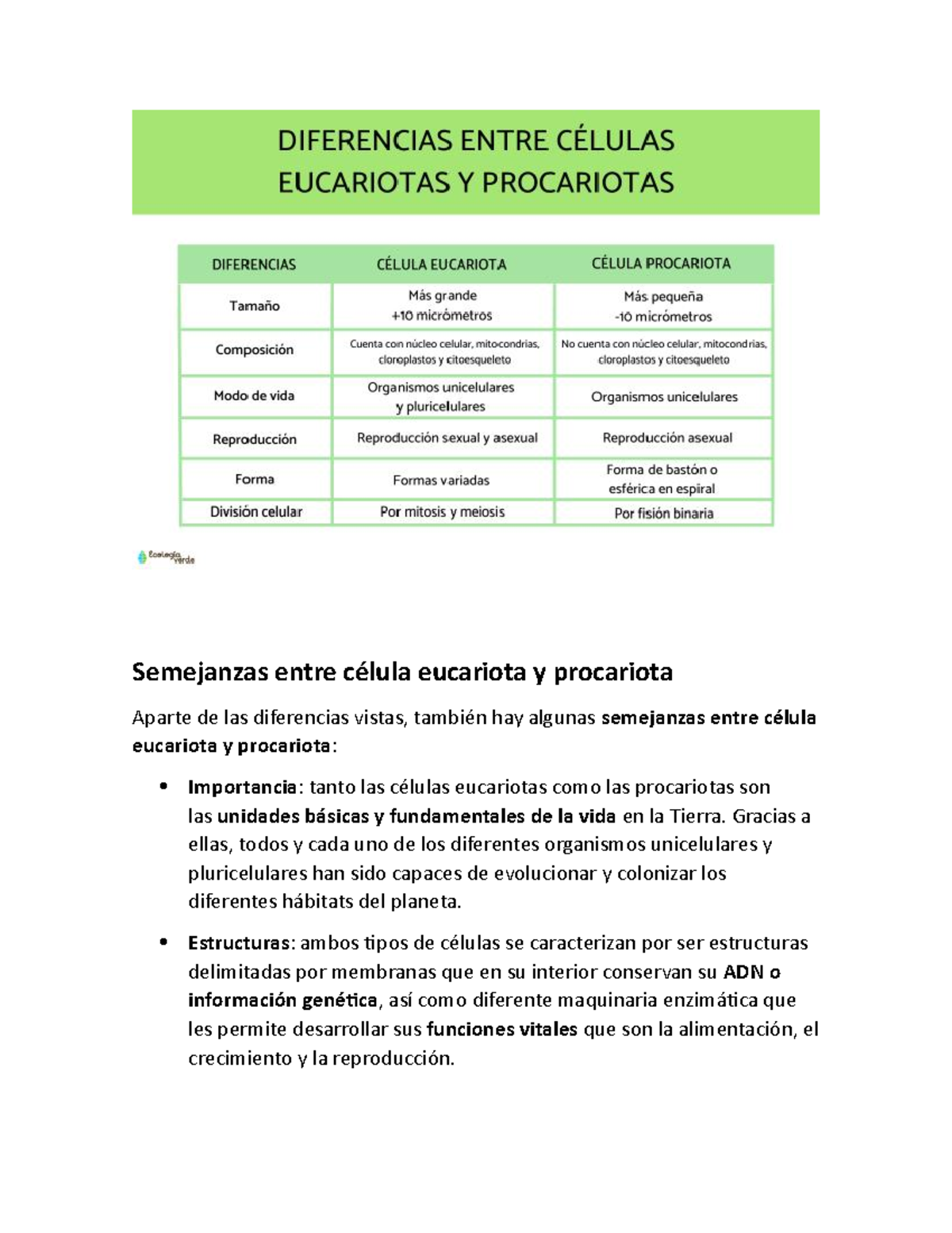 Semejanzas entre célula eucariota y procariota - Gracias a ellas, todos y  cada uno de los diferentes - Studocu