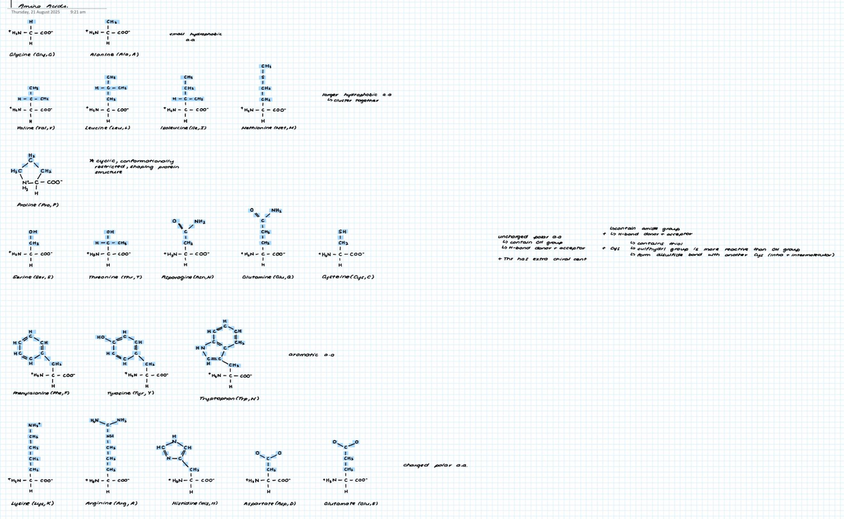 Biochemistry Lecture Notes: Amino Acids and Their Properties (BIO101 ...
