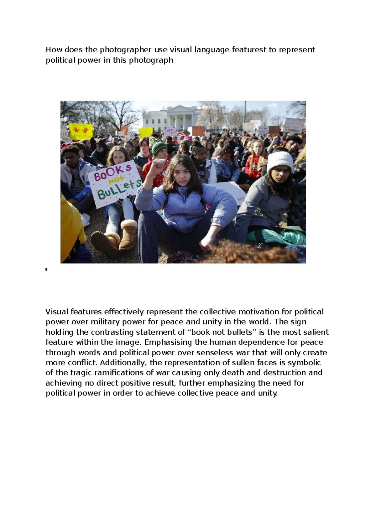 Visual Language in Photography: Political Power Representation (3 Mark ...