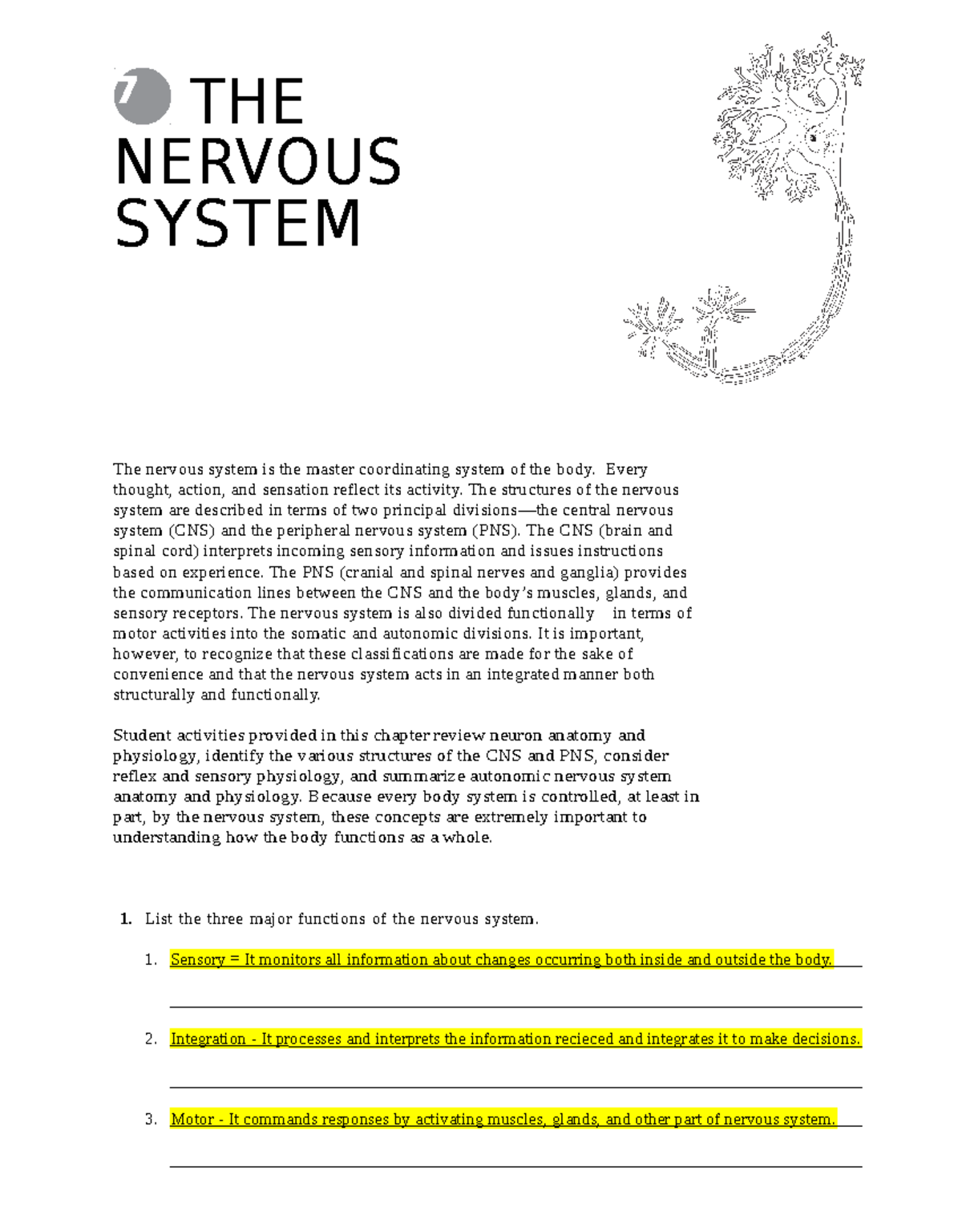 Nervous System Overview: Key Concepts and Functions (BIO 101) - Studocu