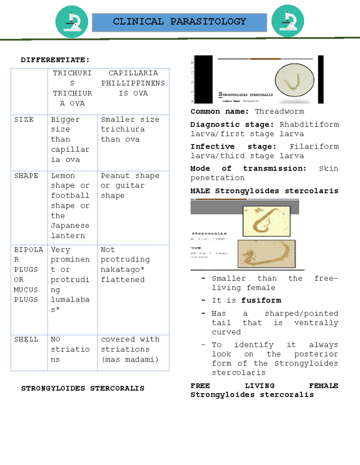 Nematodes part 3 - DIFFERENTIATE: TRICHURI S TRICHIUR A OVA CAPILLARIA ...