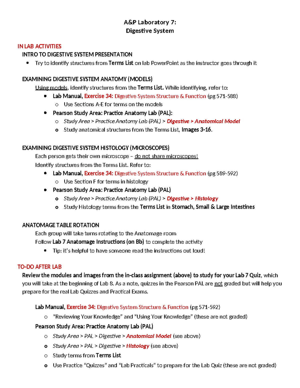 Lab 7: Digestive System Study Guide & Quiz Prep - Studocu