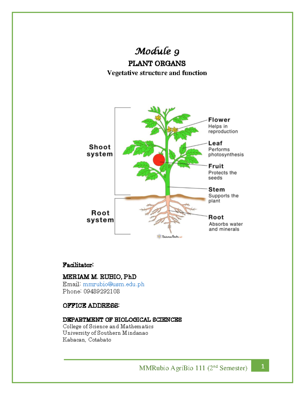 Module 9: Plant Organs - Vegetative Structure & Function Notes (AgriBio ...