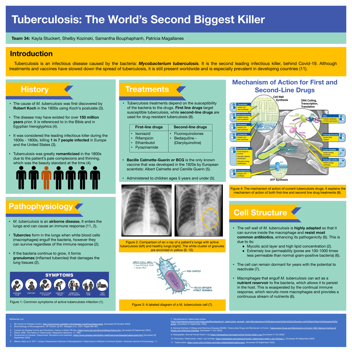 Posterprojectteam 34 - poster project - Tuberculosis: The World’s ...