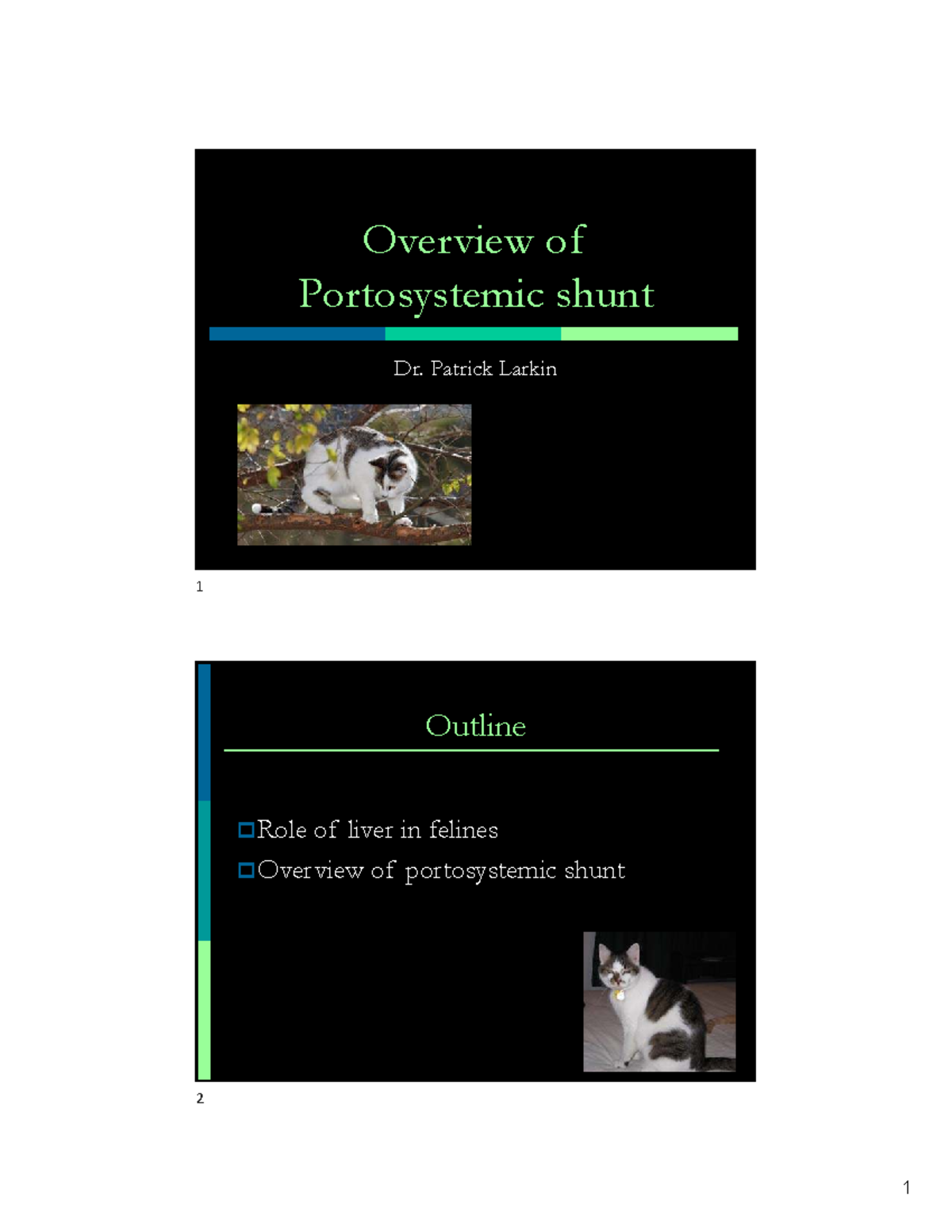Overview of PSS in Cats: Liver Function & Shunt Implications - Studocu