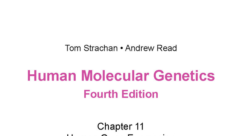 BIOL311 - Chapter 11: Human Gene Expression Overview - Studocu