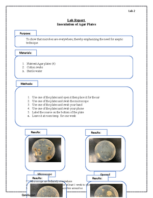 Lab 3 report - MICROSCOPIC OBSERVATION OF BACTERIA USING THE SIMPLE ...