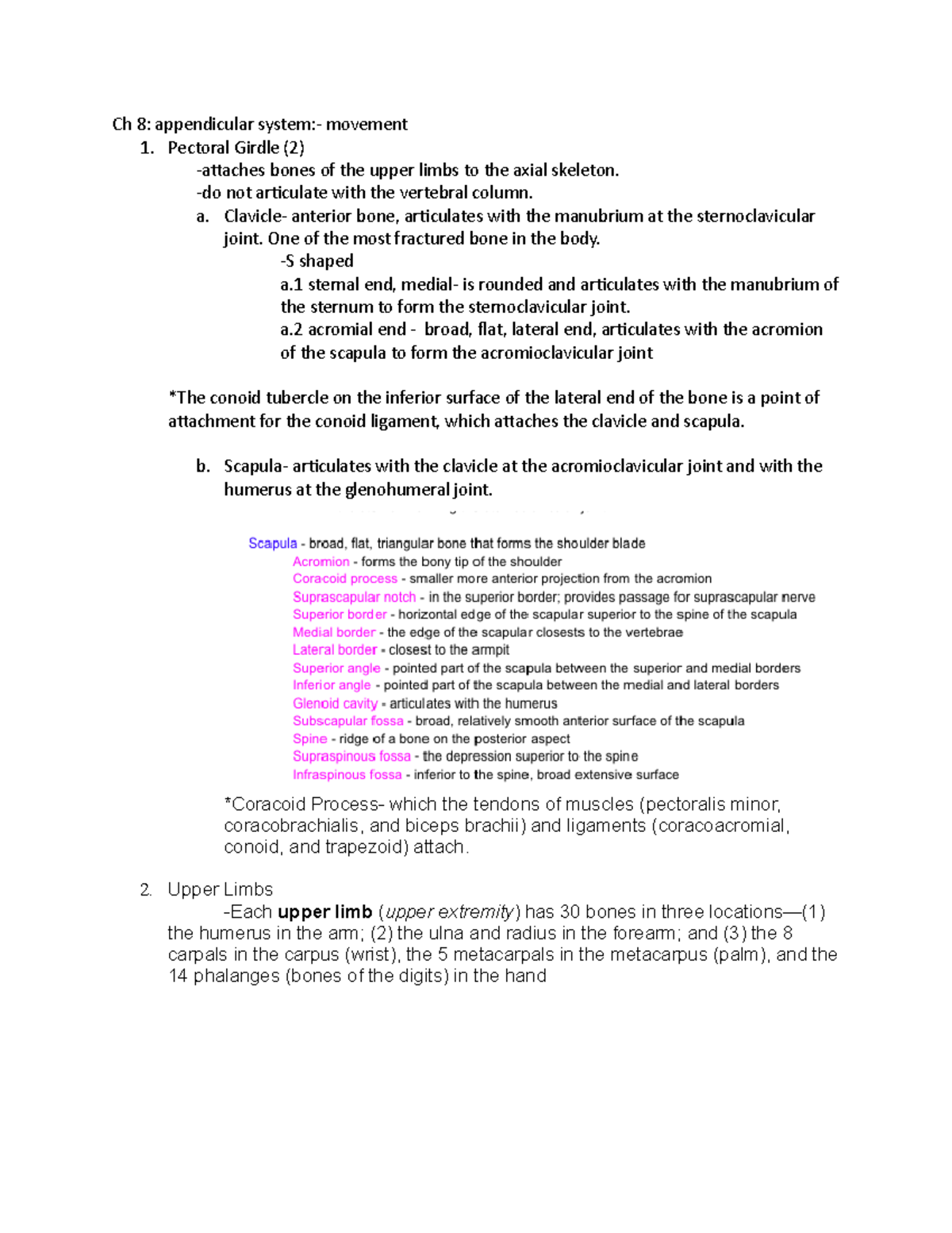Ch 8 - Anatomy of the Appendicular System for PSY 168 Study Notes - Studocu