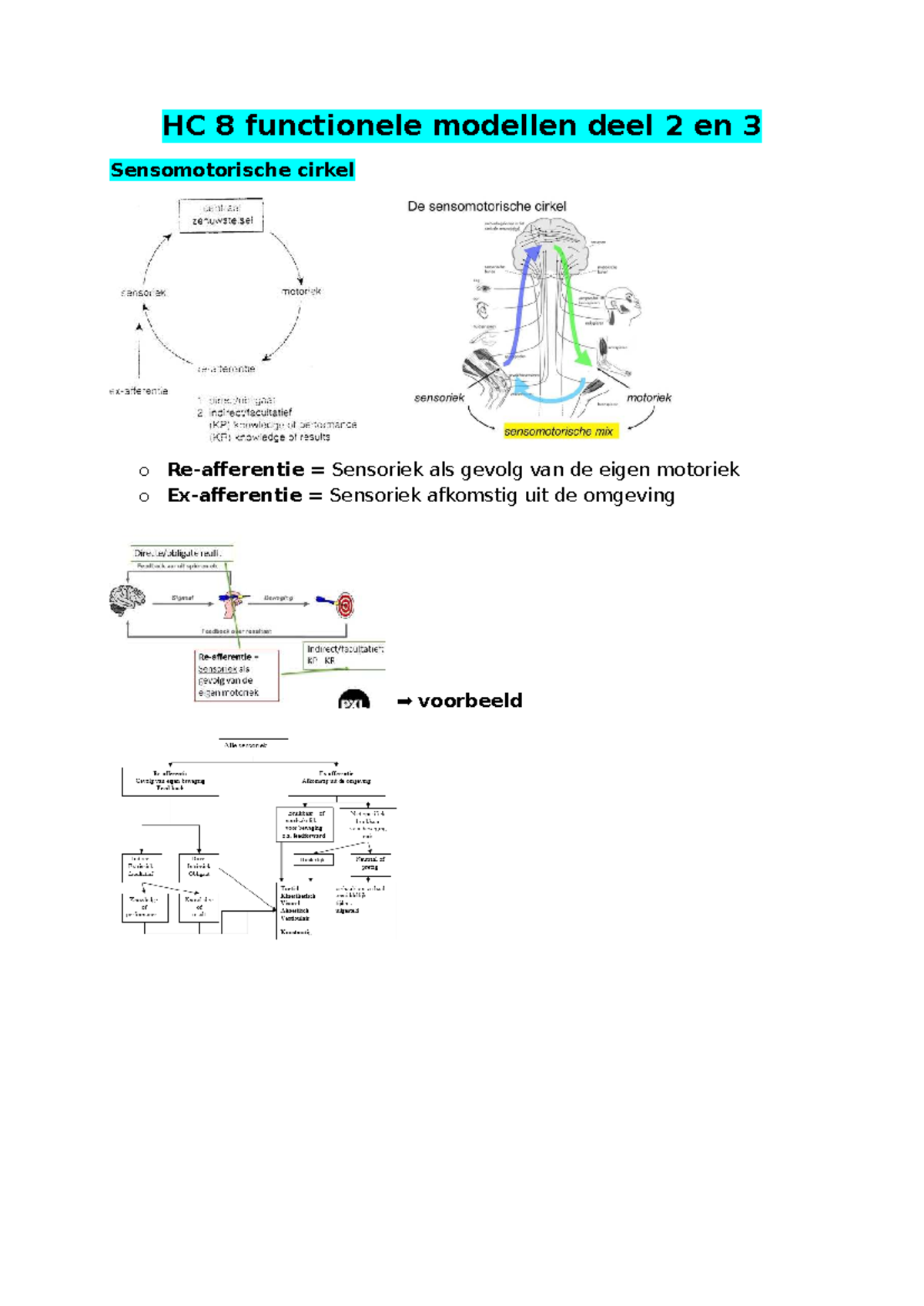 HC 8 Functionele Modellen: Sensomotorische Cirkel en Luria's Model ...