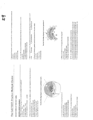 Lab 2 Microscope Answer Sheet - Lab 2 Microscope Assignment 1. After ...