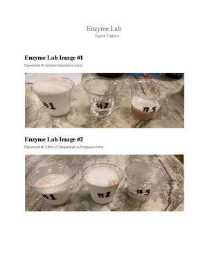 Enzyme Lab Handout Online - Enzyme Lab This lab does not require a ...