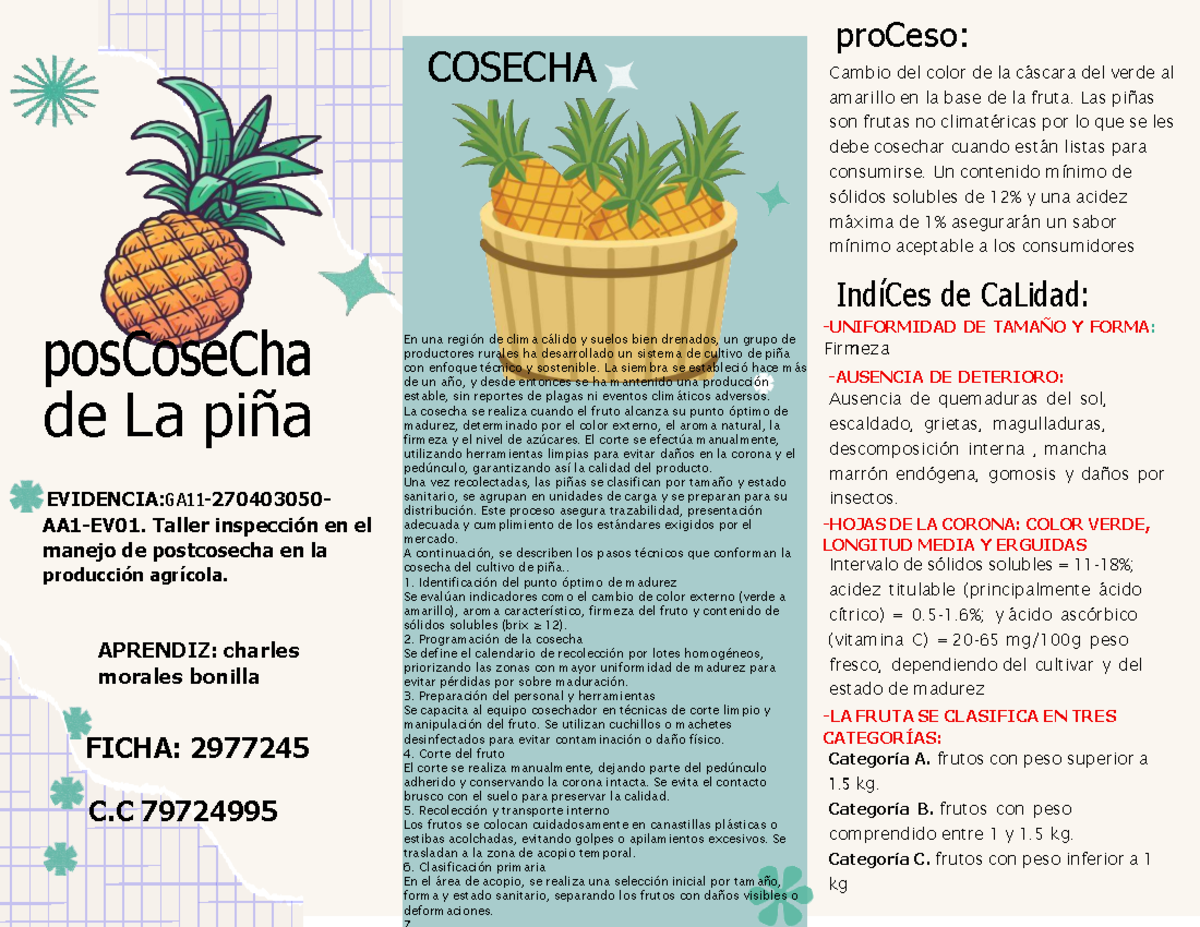 Taller 70: Proceso de Cosecha de Piña y Calidad Postcosecha - Studocu
