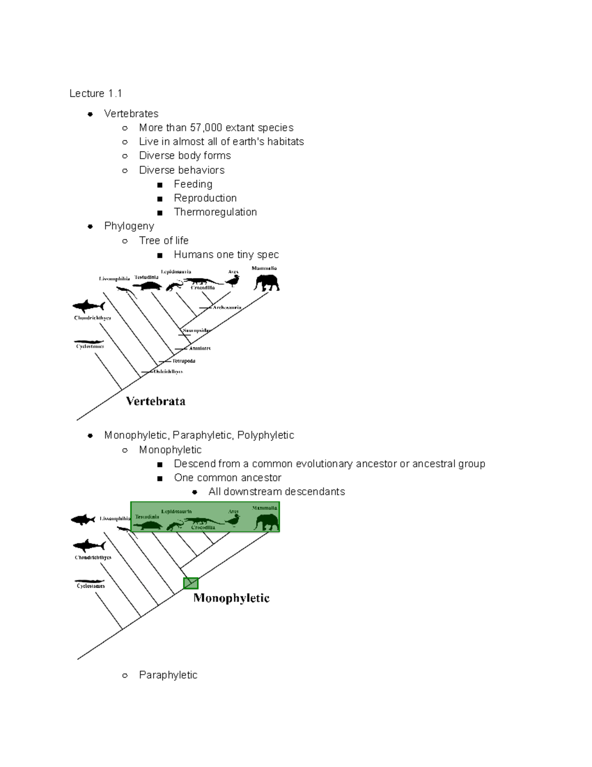 BIO 224-Midterm 1 Review: Vertebrate Evolution and Development - Studocu
