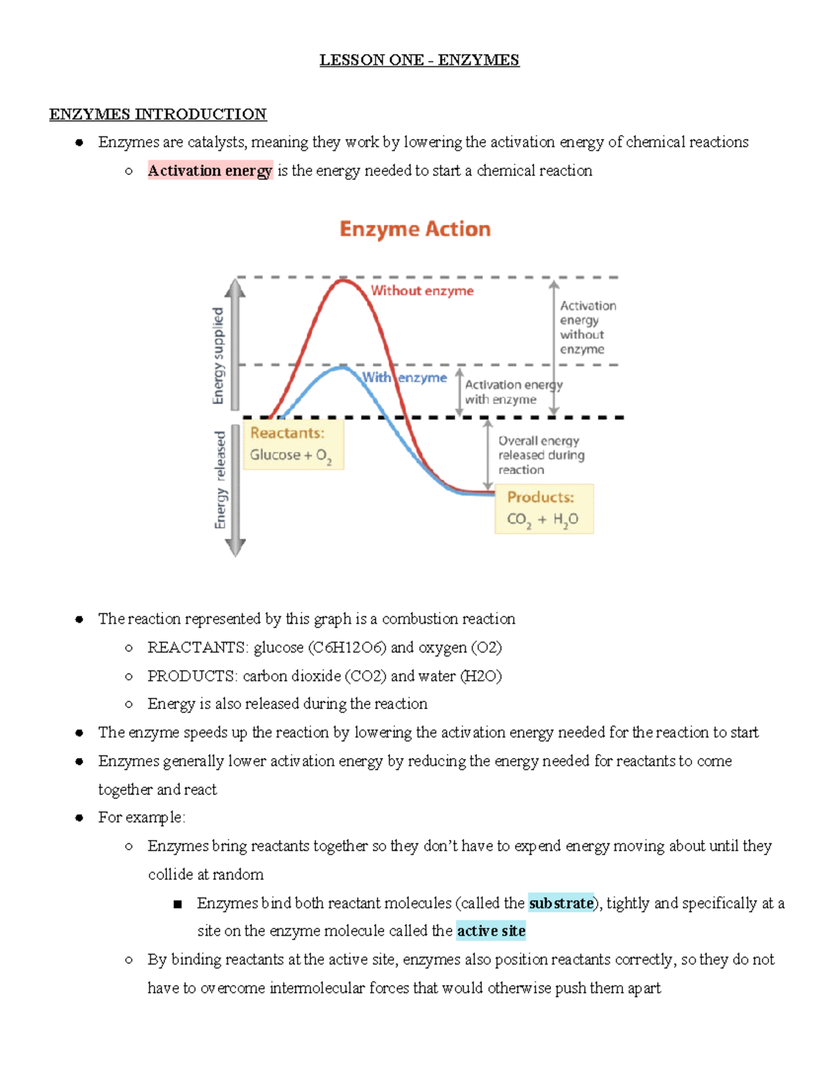Enzymes and Homeostasis - Lecture Notes (BIO 20) - Studocu