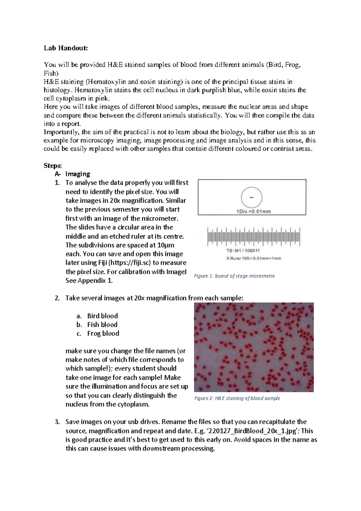 Lab Handout: Microscopy Image Analysis (H&E Staining) for Blood Samples ...
