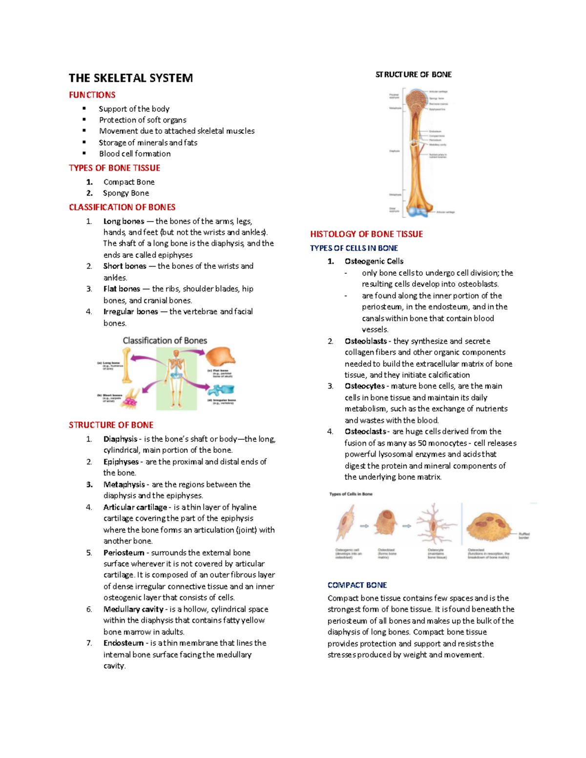 BIO 101: Structure and Functions of the Skeletal System - Studocu