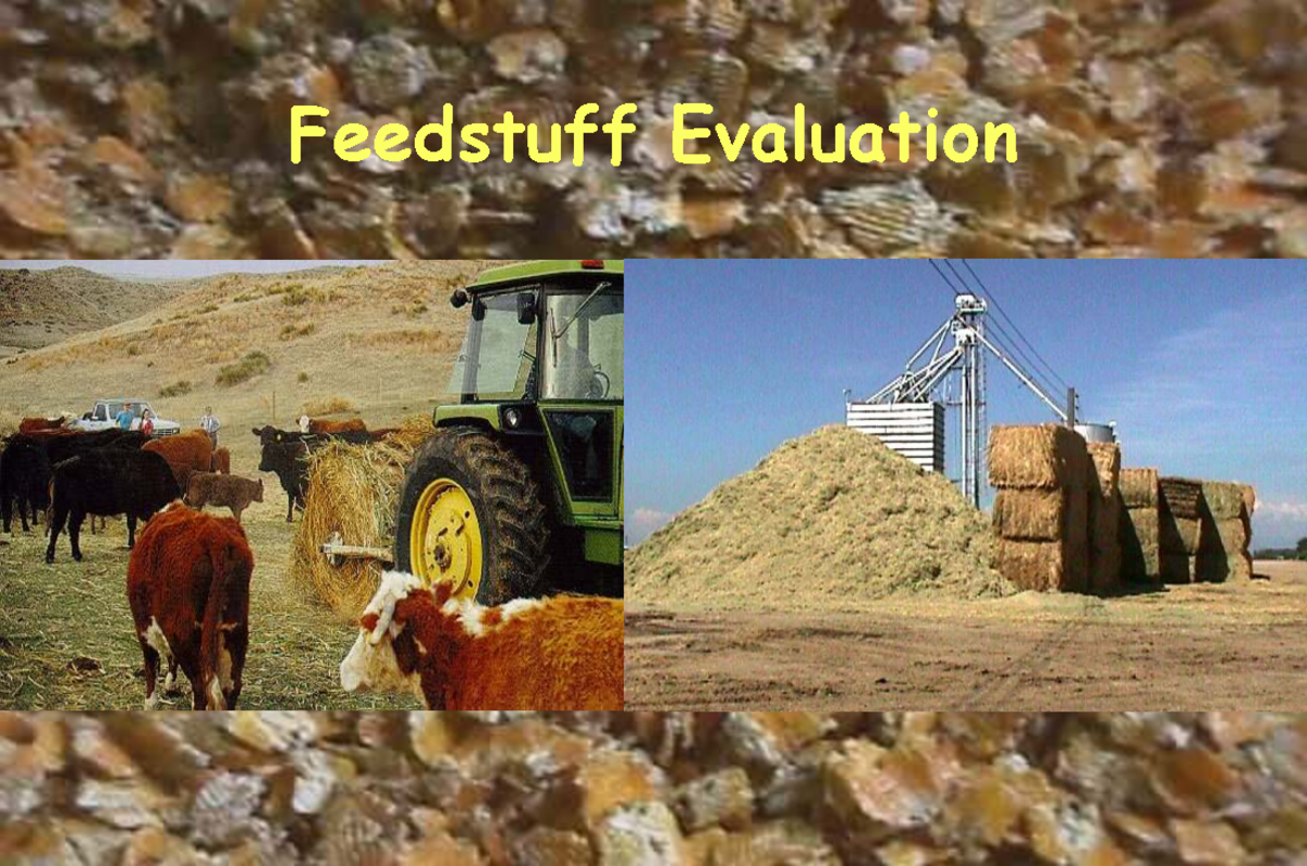 Feedstuff Evaluation and Nutrient Composition Analysis (Course Code: FE ...