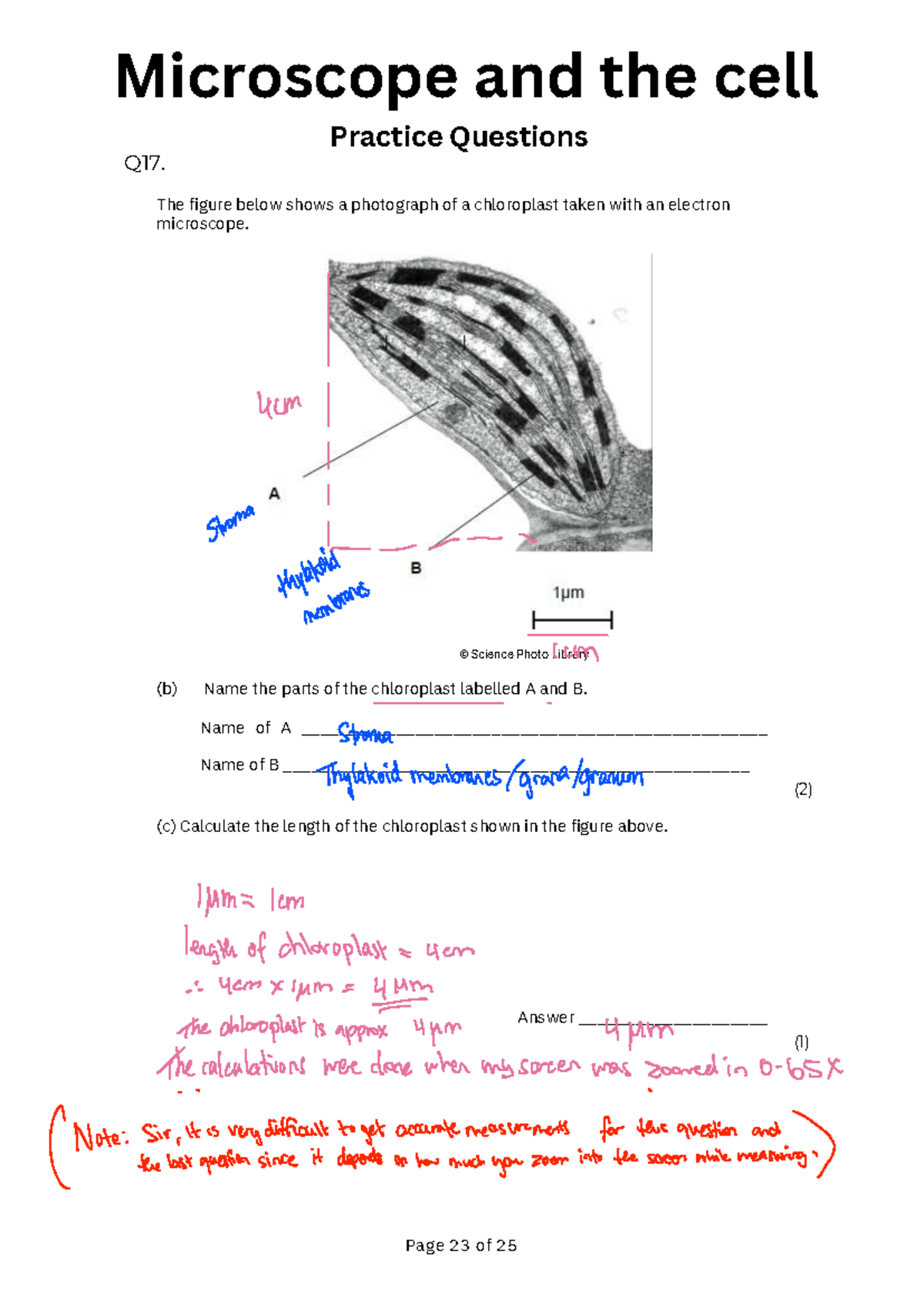 2.1 Cell Structure and Microscopy Quiz Prep QP fb9 - Studeersnel