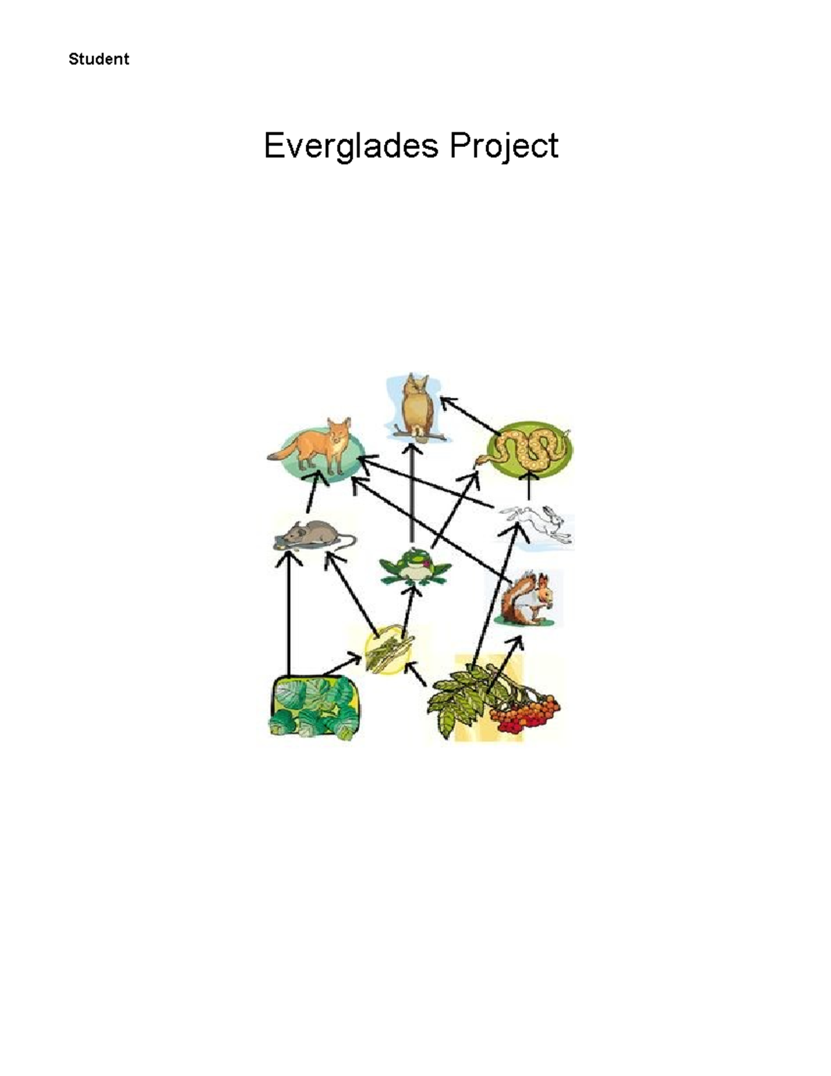 Everglades project honors - Everglades Project Purpose: The purpose of ...