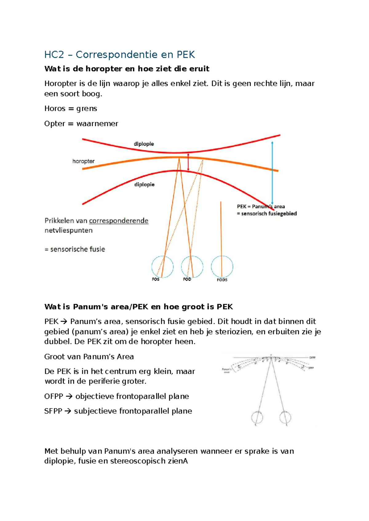 HC2 - Correspondentie en PEK: De Horopter en Stereoscopie - Studeersnel