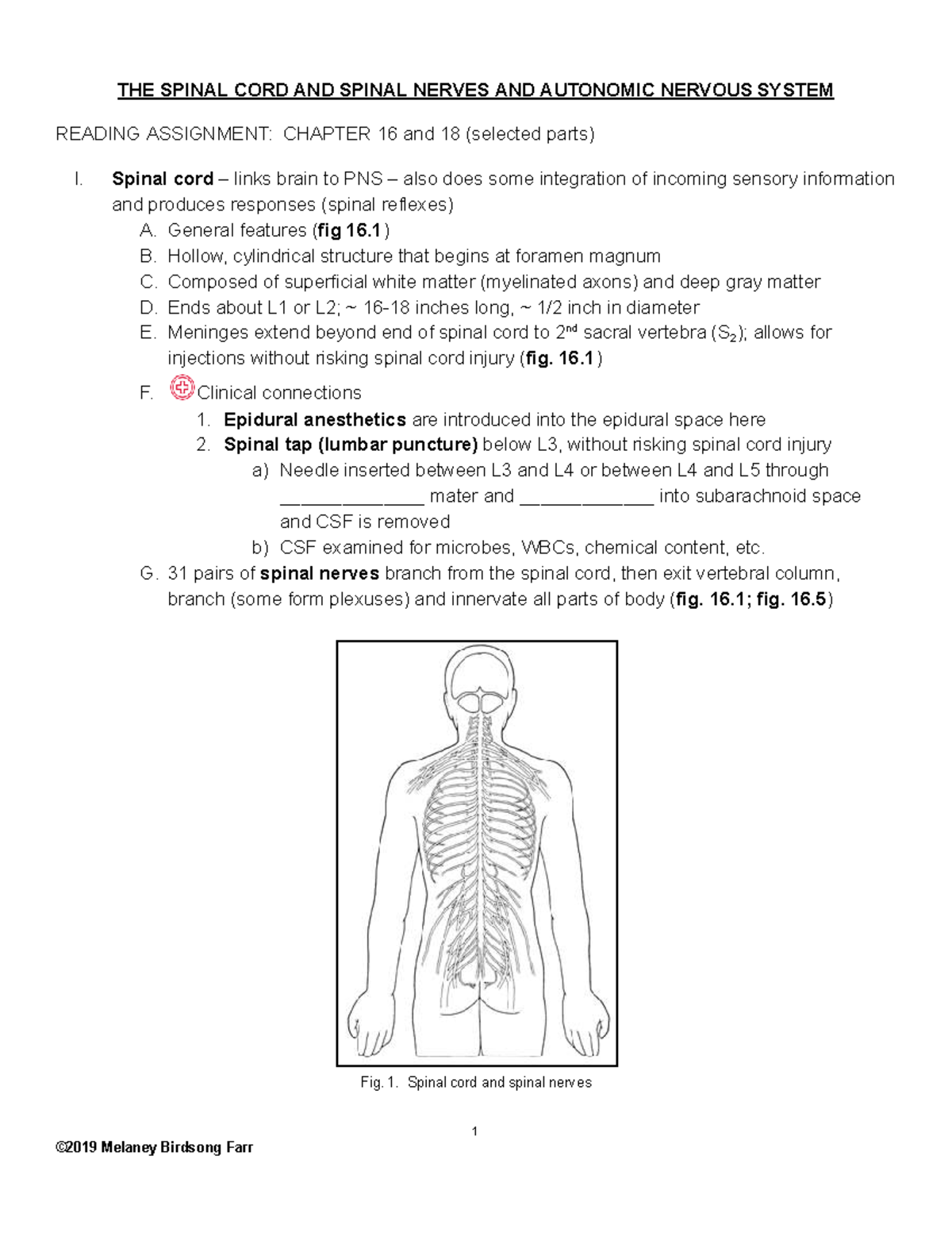 Spinal Cord and Autonomic Nervous System Anatomy Overview (Ch. 16 & 18 ...