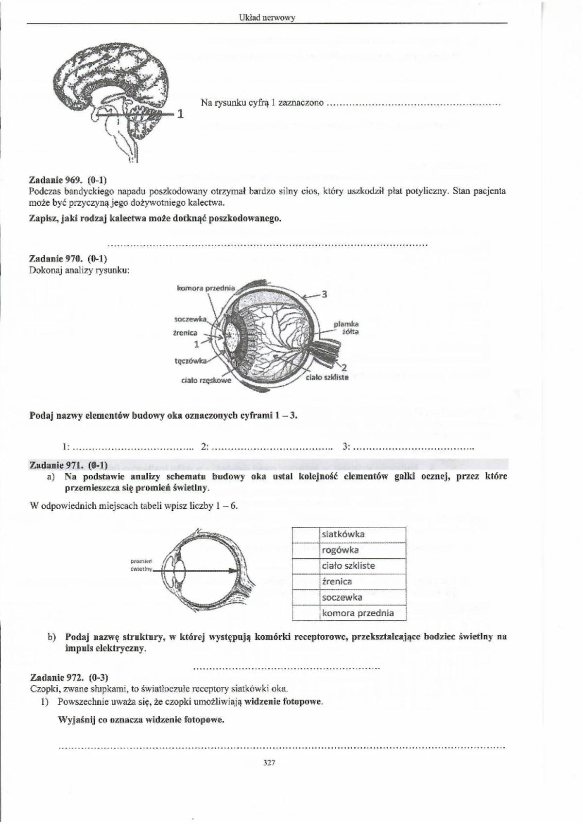 Narządy Zmysłów Sprawdzian Klasa 8 www.studocu.com