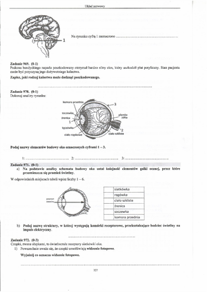 Sprawdzian z biologii układ hormonalny - Wersja A Test podsumowujący