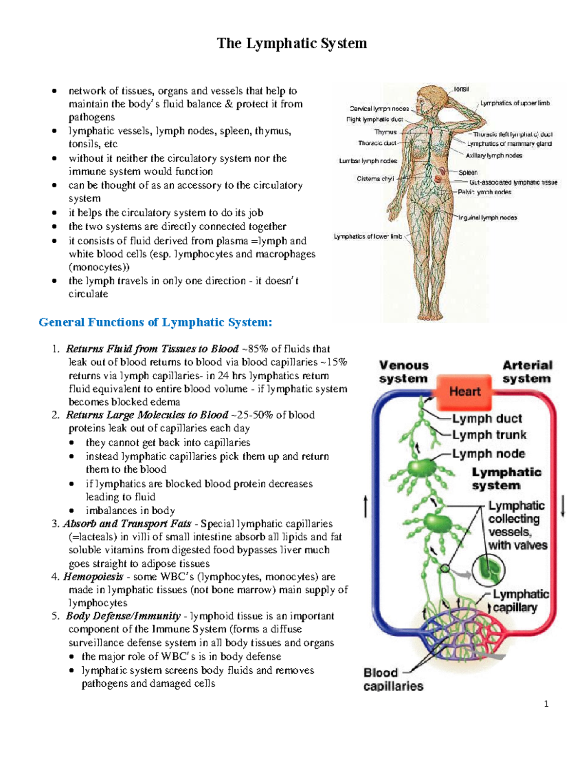 4 19 Lymphmatic System - lecture note - The Lymphatic System ∑ network ...