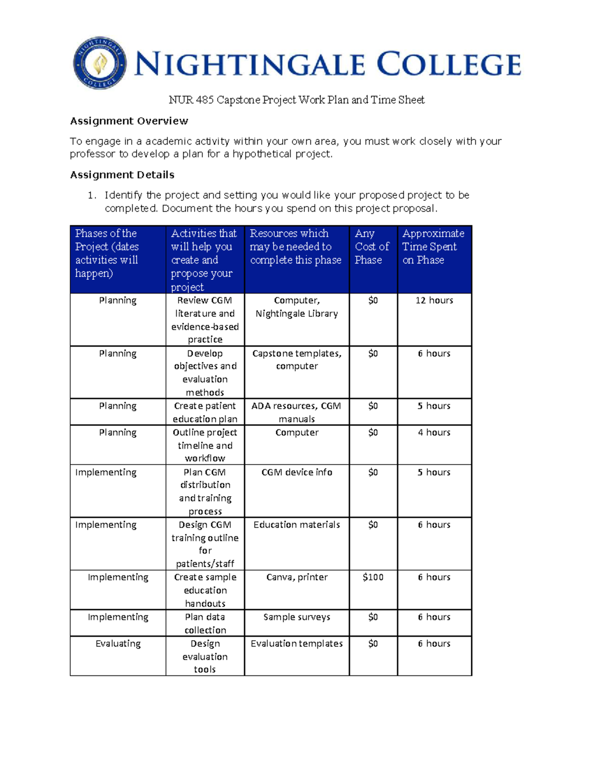 BSN 485 Capstone Project Work Plan & Time Sheet Overview 2026 - Studocu