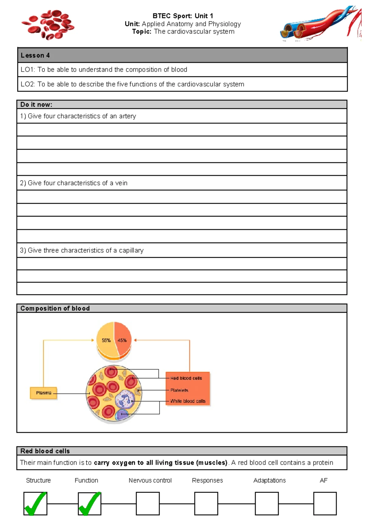 BTEC Sport L2: Lesson on Cardiovascular System & Heart Anatomy - Studocu