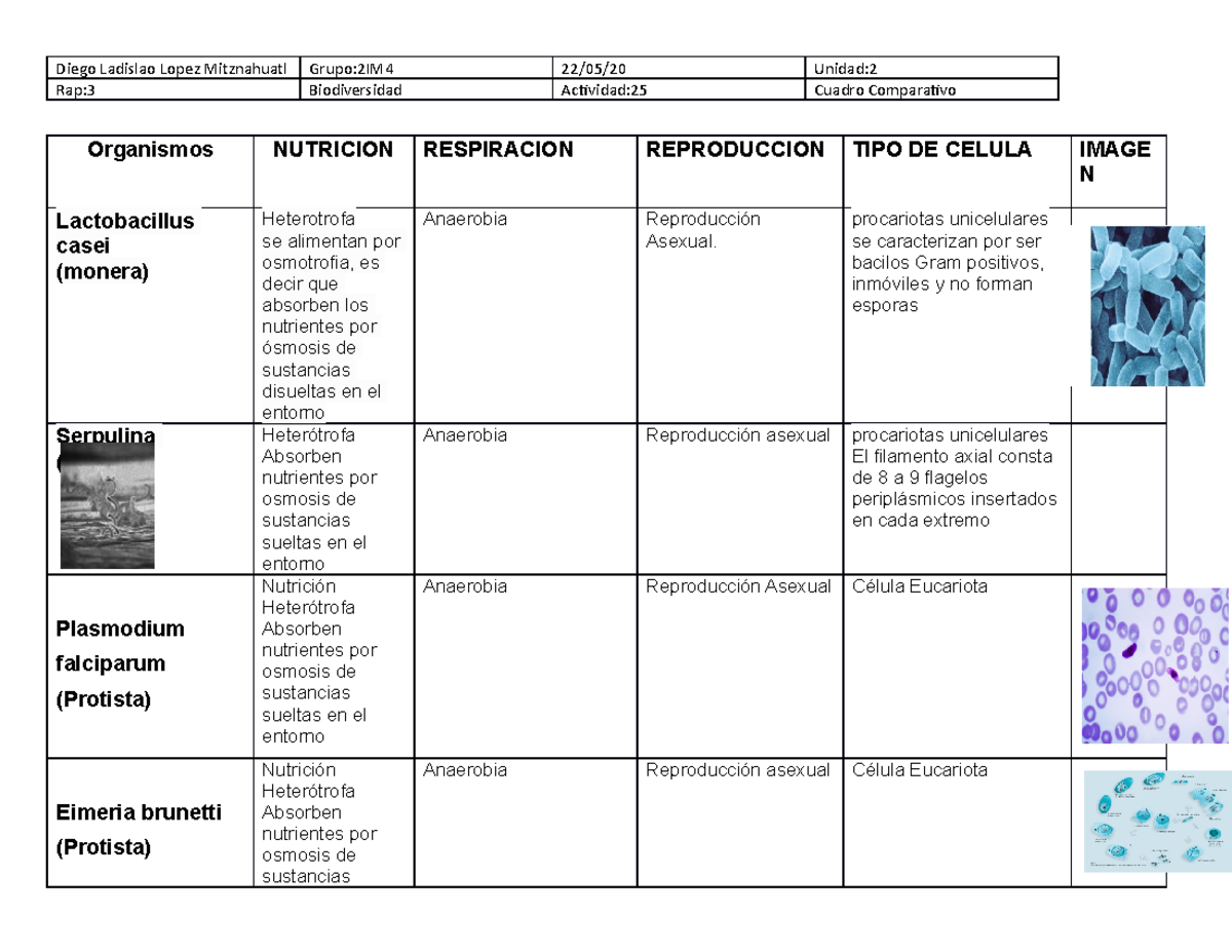 Cuadro Comparativo de Reinos: Monera, Protista, Fungi y Plantae - Studocu