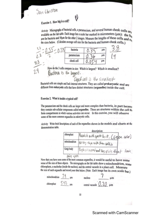 Unit 9 Worksheetdocx - Unit 9 lab - Unit 9: Biological Diversity ...