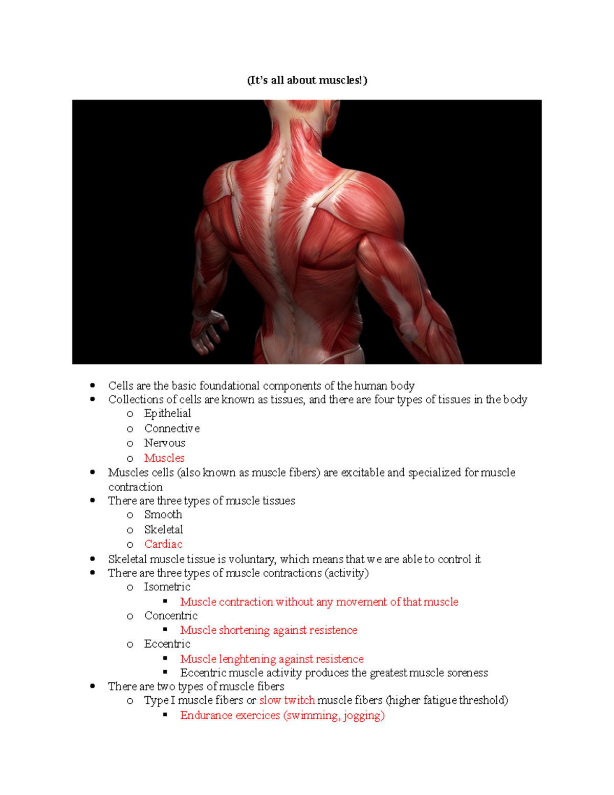 ESU Handout #2 - Muscle Tissue & Function Lecture Notes - Studocu