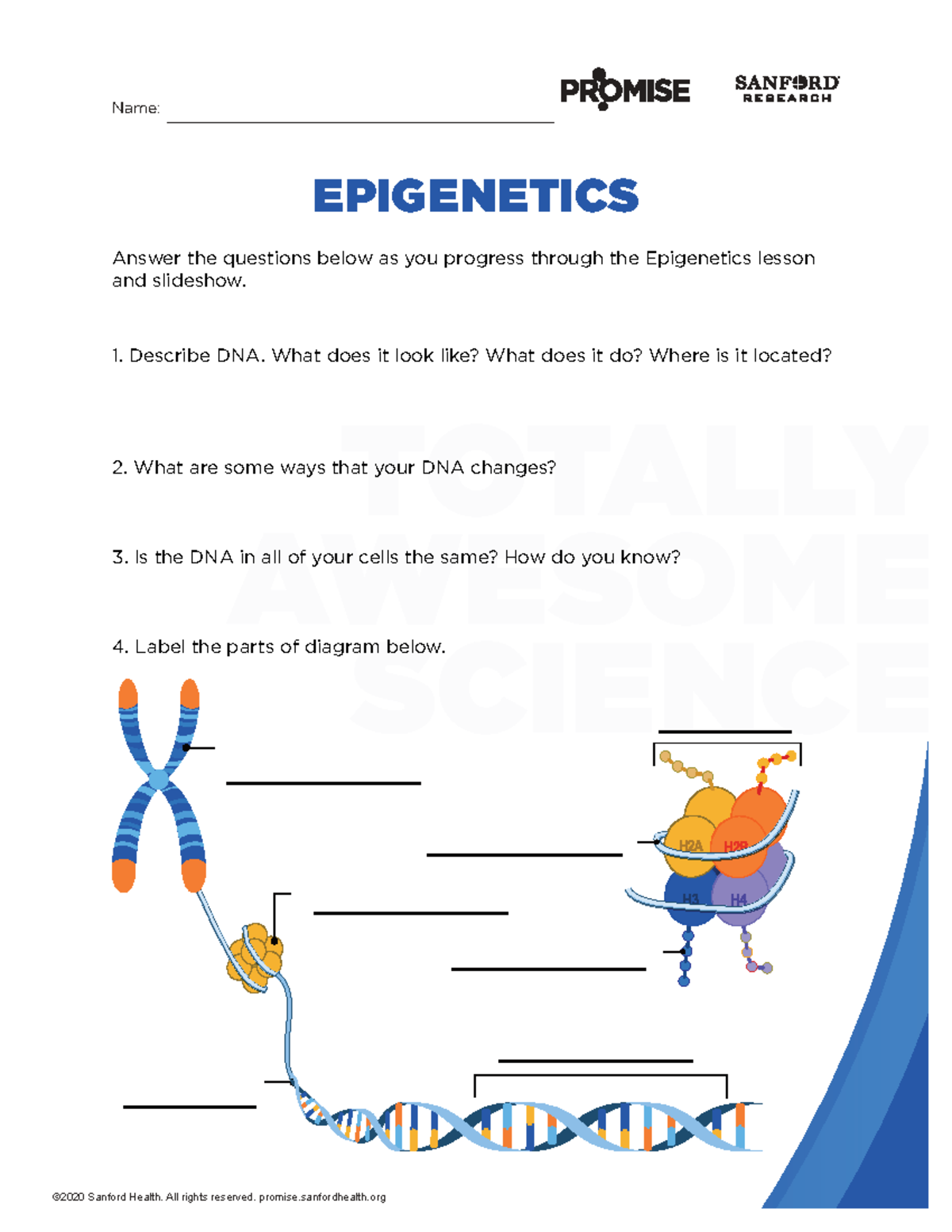 Epigenetics Lesson Worksheet: Exploring DNA and Inheritance - Studocu