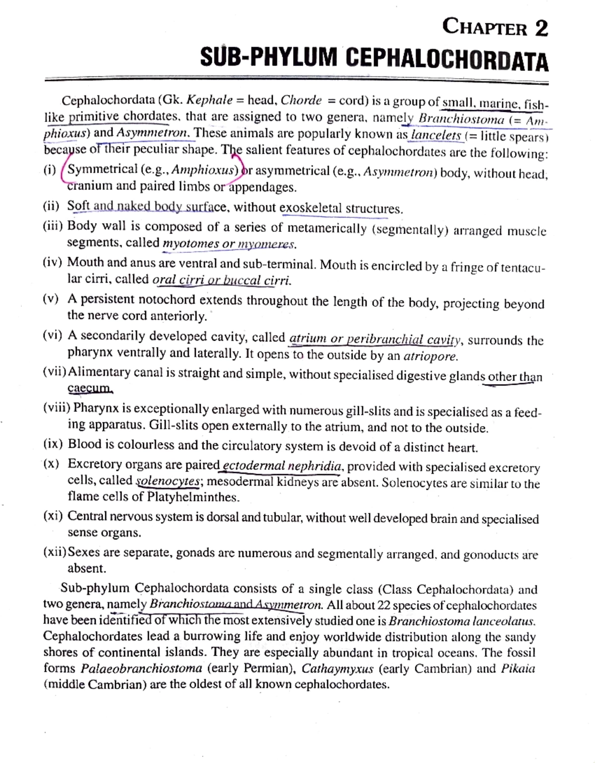 CPT 2020 - Radiology Coding Guidelines and Changes Overview - Studocu