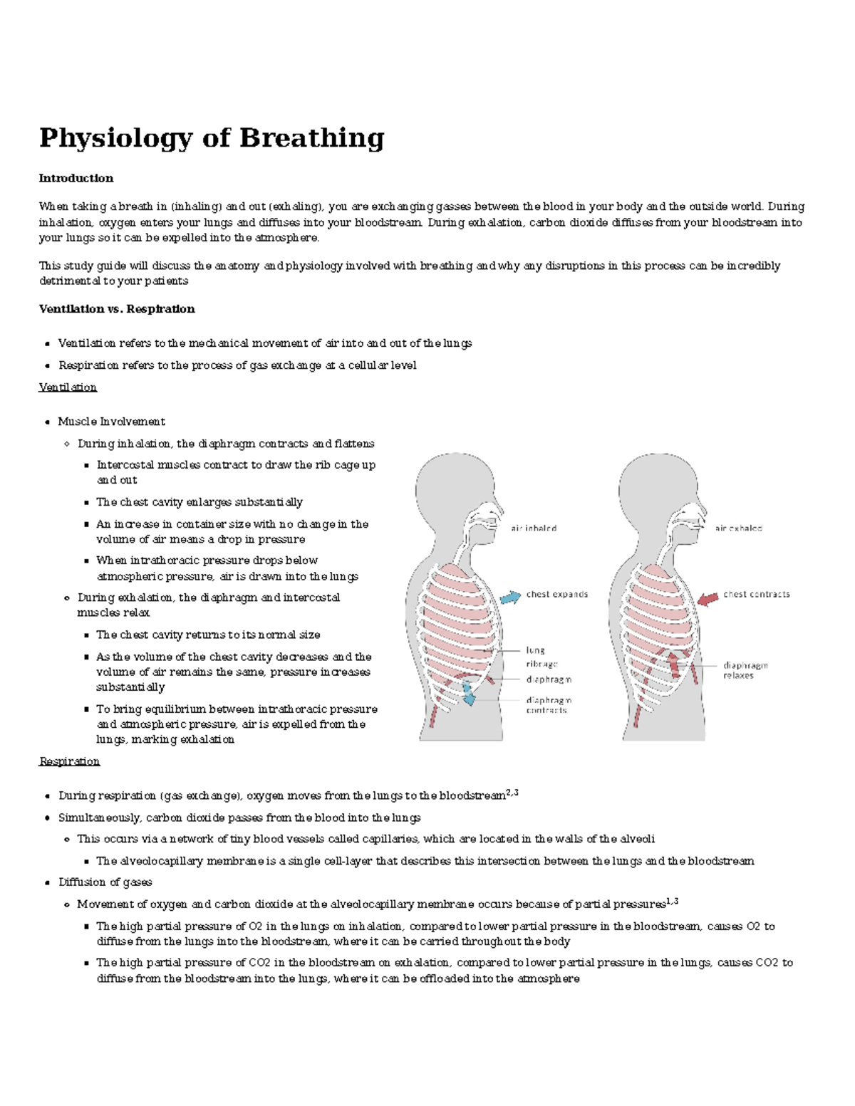 Pulmonary Outline - Physiology of Breathing Introduction When taking a ...