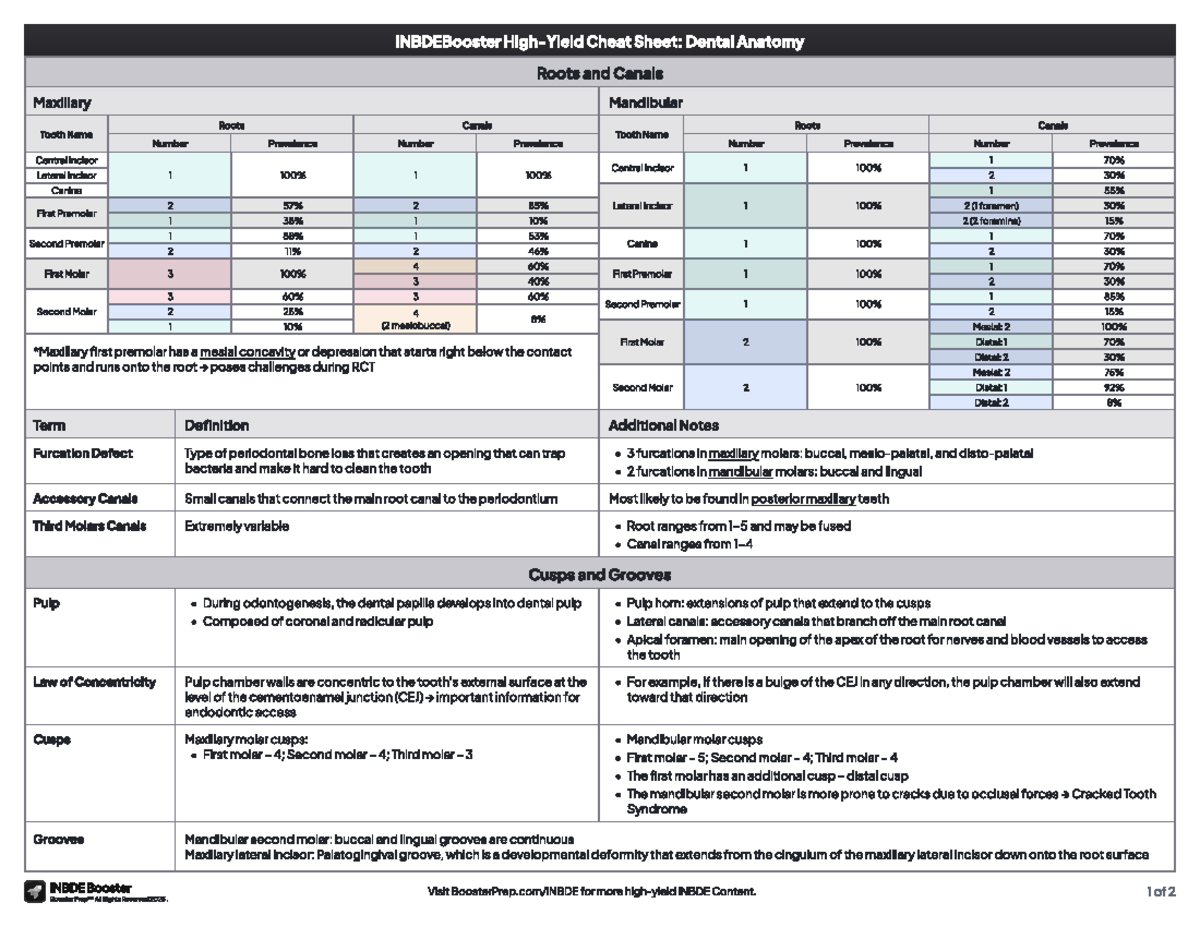 INBDE Booster Cheat Sheet: Dental Anatomy Roots & Canals - Studocu