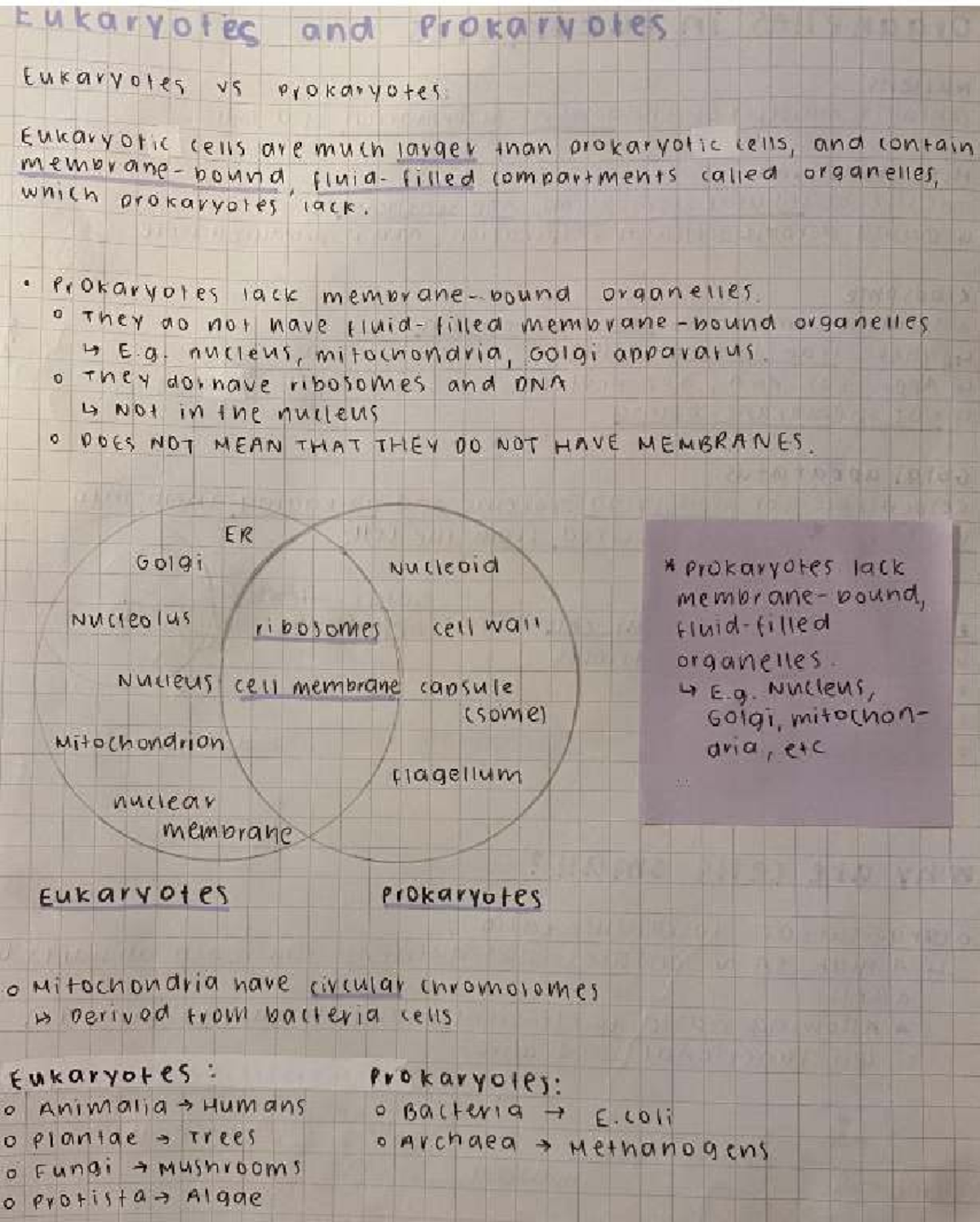 Eukaryotes vs Prokaryotes: Key Differences and Characteristics - Studocu