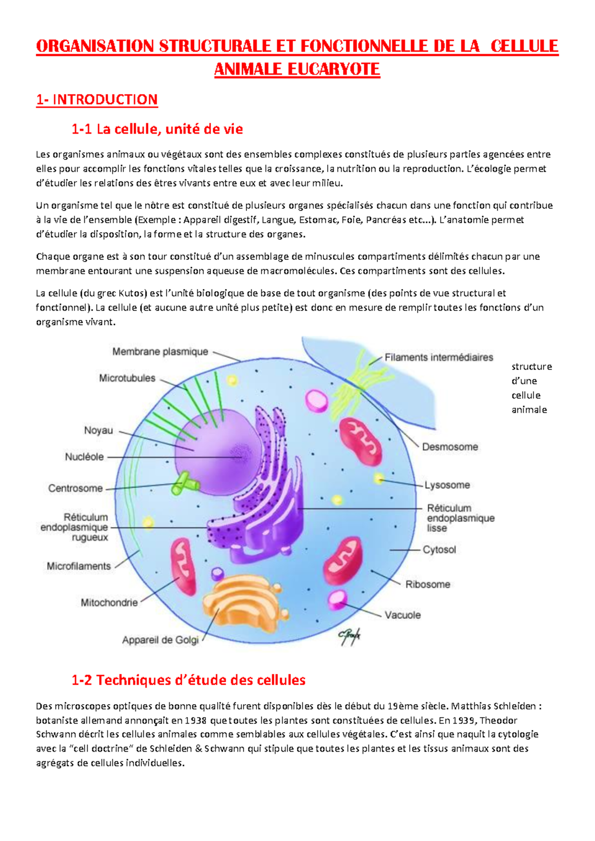 Organisation Structurale et Fonctionnelle de la Cellule Animale ...