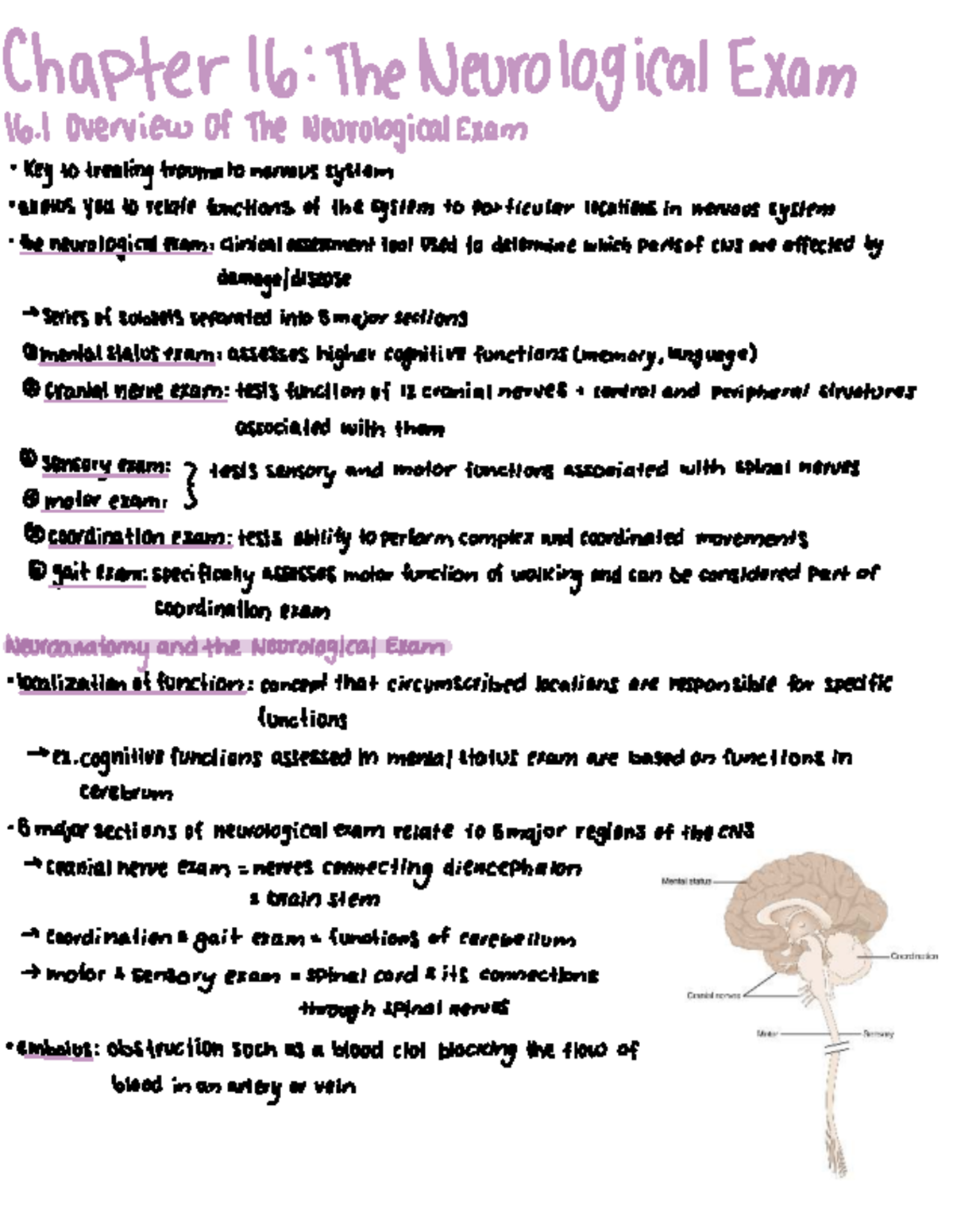 Neurological Examination Overview and Clinical Assessments (Course Code ...