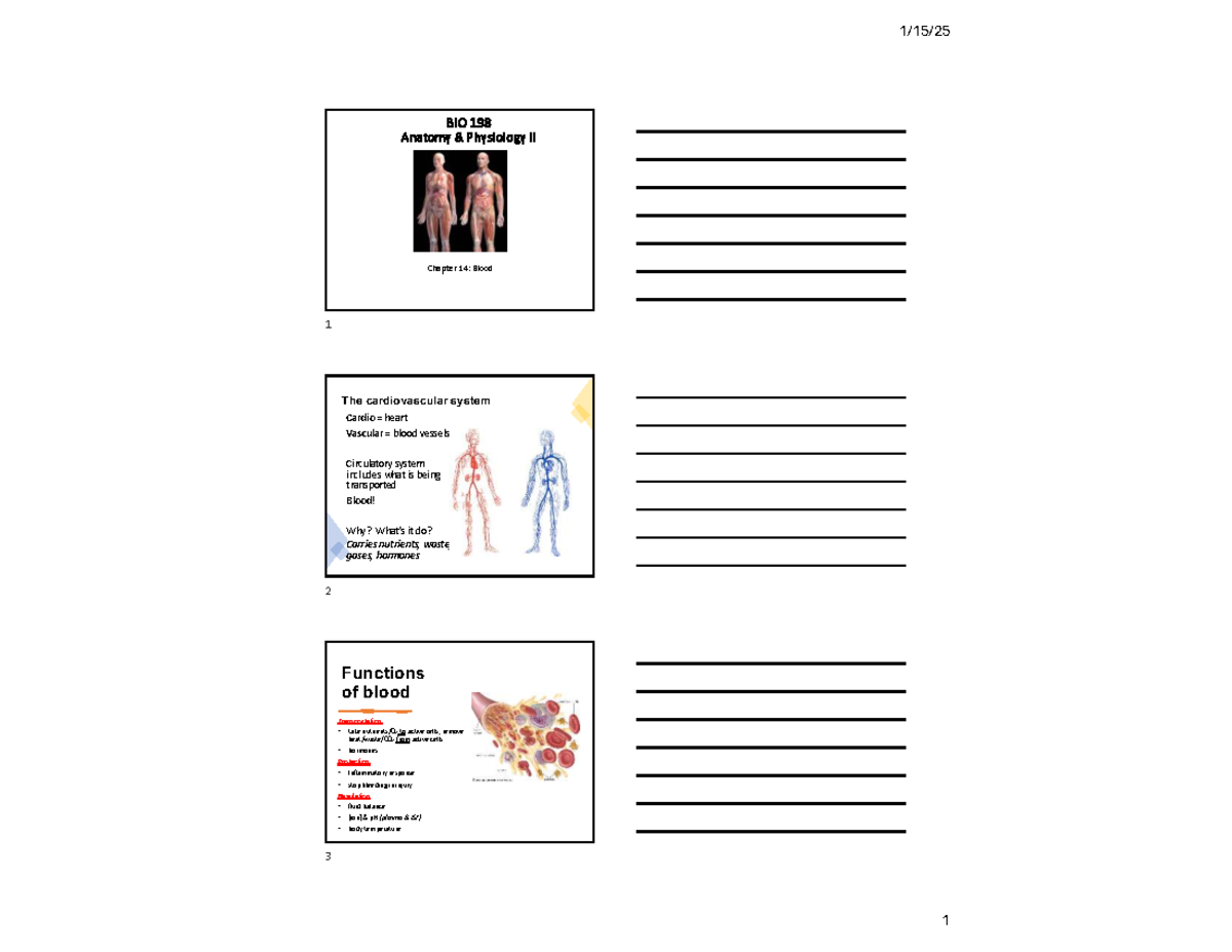 BIO 198 Anatomy & Physiology II Chapter 14: Blood Overview - Studocu