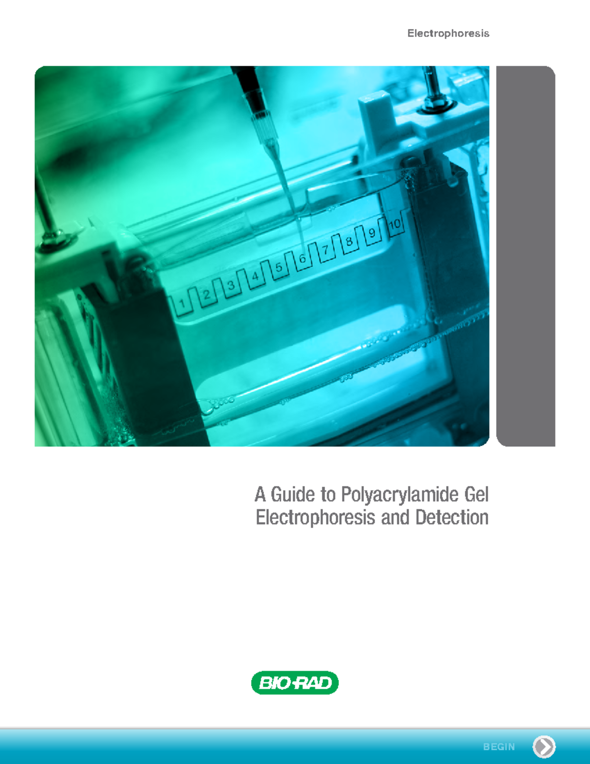 Bulletin 6040 - Comprehensive Guide to Polyacrylamide Gel ...