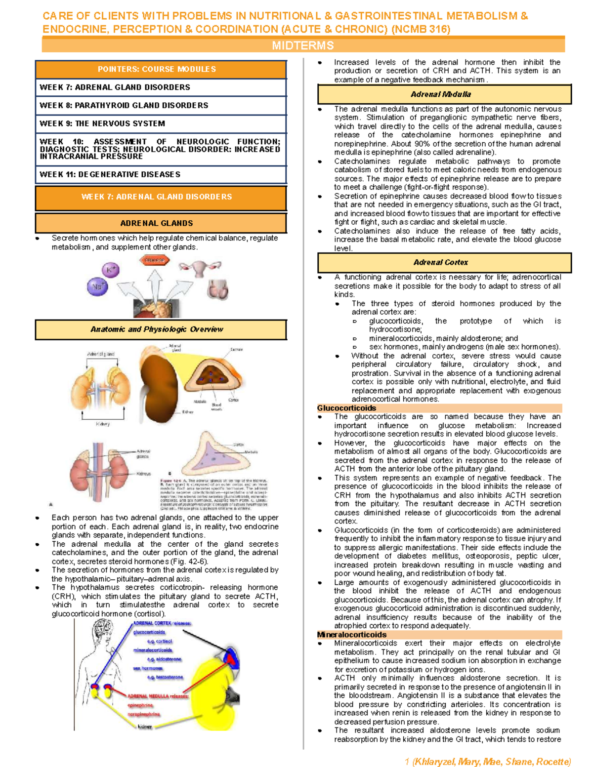 NCMB 316 Midterms: Key Concepts on Adrenal and Parathyroid Disorders ...