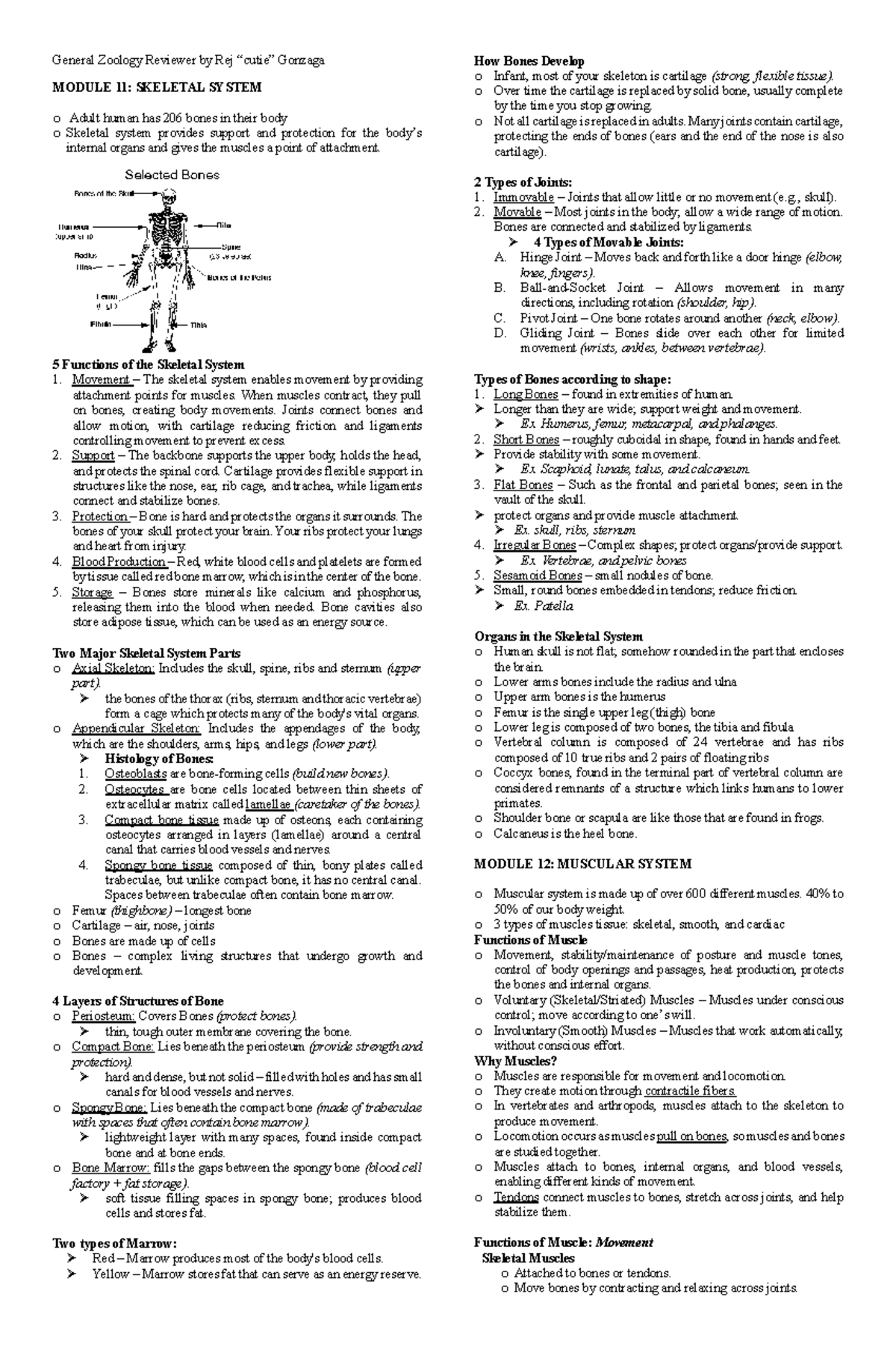 ZOO P2 Reviewer: Skeletal, Muscular, and Digestive Systems - Studocu